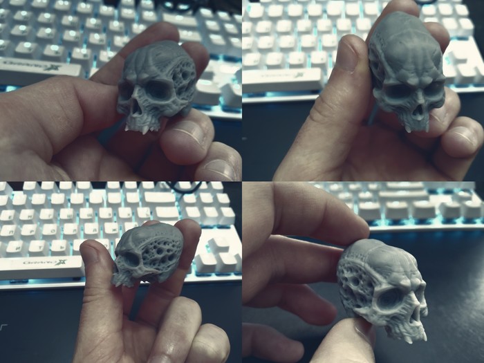 Вытянутый череп 3D, 3D печать, Фотополимерная печать, Zbrush, Keyshot, Длиннопост, Череп