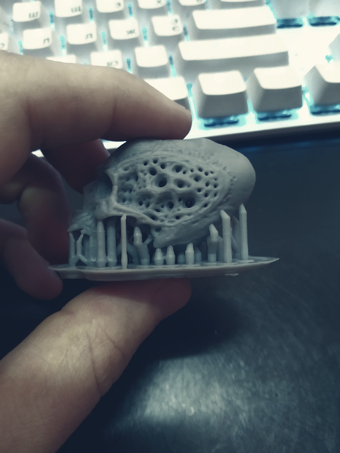 Вытянутый череп 3D, 3D печать, Фотополимерная печать, Zbrush, Keyshot, Длиннопост, Череп