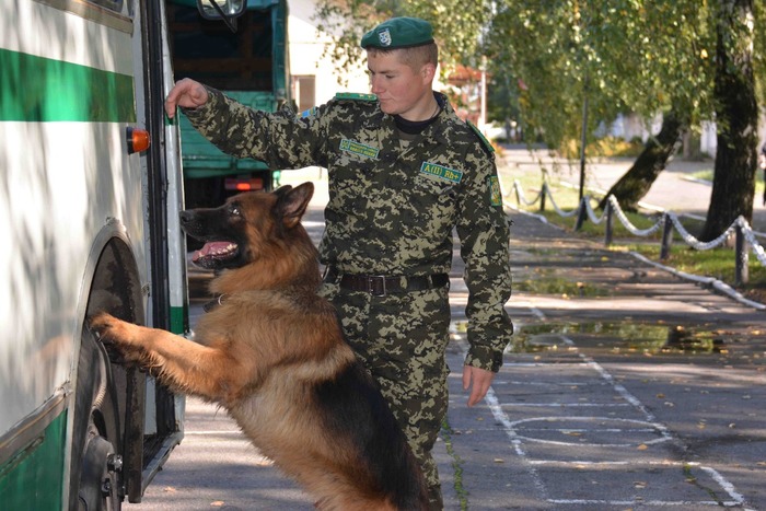 ���������� ������������ ������� ��������� ������ �������� ����