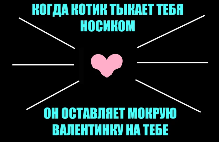 Он дарит тебе валентинки каждый день :3 - Кот, Валентинка, 14 февраля - День святого Валентина