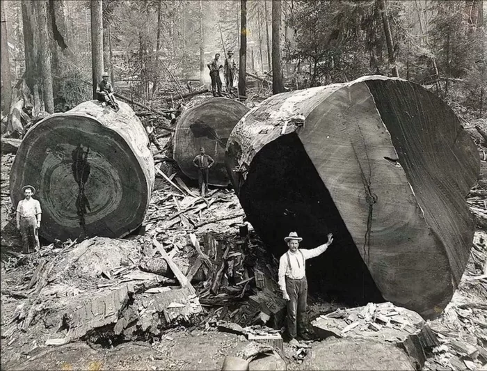 Интересные снимки XX ст История, Фотография, Кеннеди, Мэрилин Монро, Интересное, The Beatles, 20 век, Длиннопост