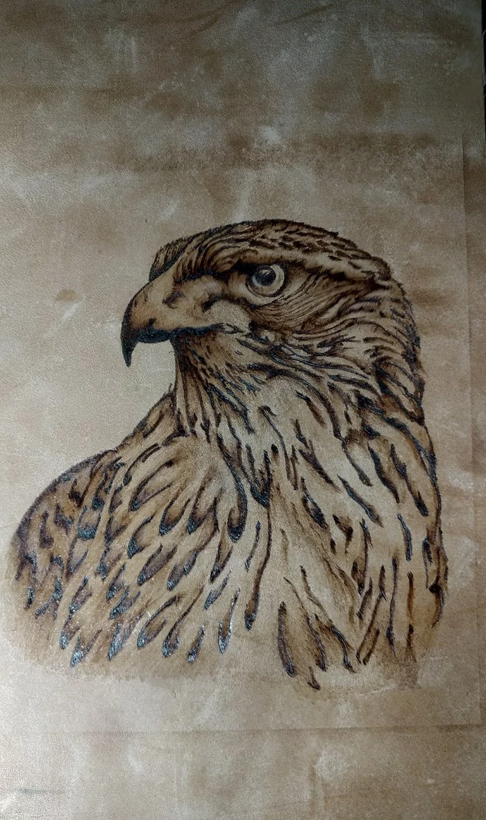 Falcon - My, Falcon, Pyrography, Leather, Painting, Art, Needlework without process, Needlework, Art