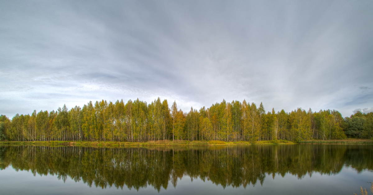 Дендропарк кострома фото