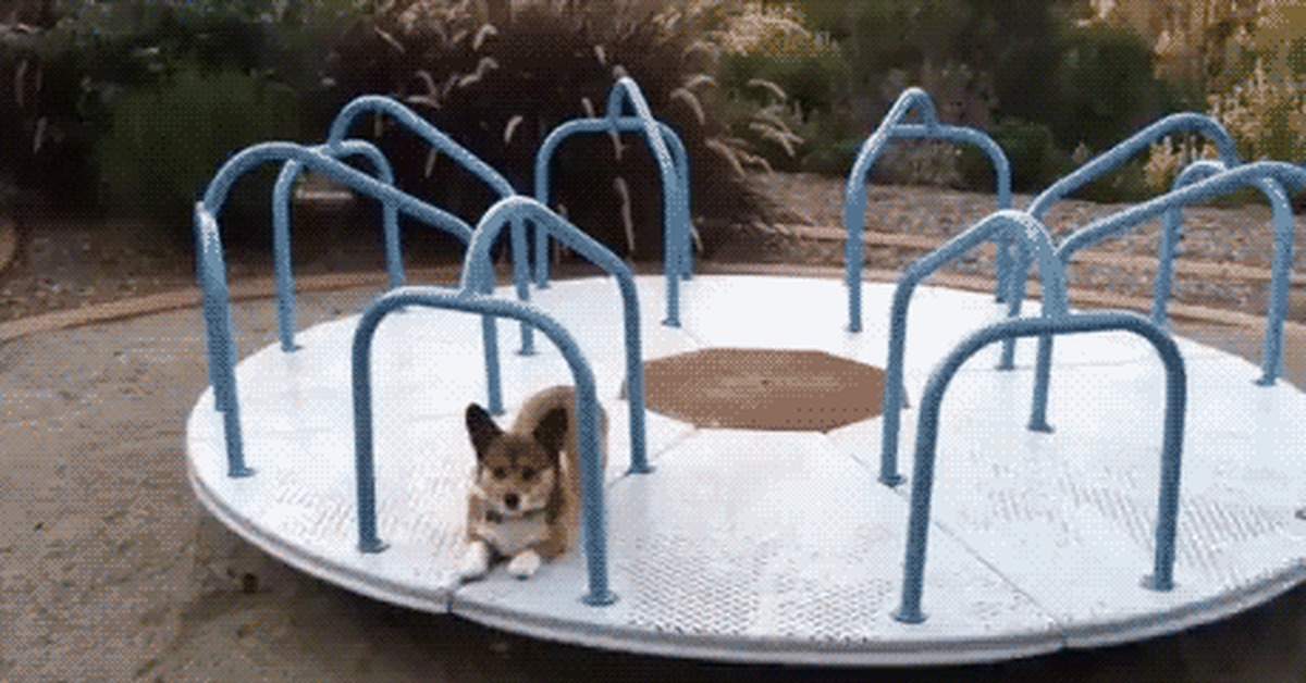 Карусель аттракцион. Детская карусель с животными. Карусель с животными. Merry go round amusement park игрушка. Карусель звери.