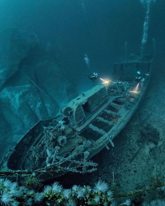 Алекс Доусон (Alex Dawson)— фотограф, аквалангист и режиссер Фотография, Дайвинг, Море, Длиннопост