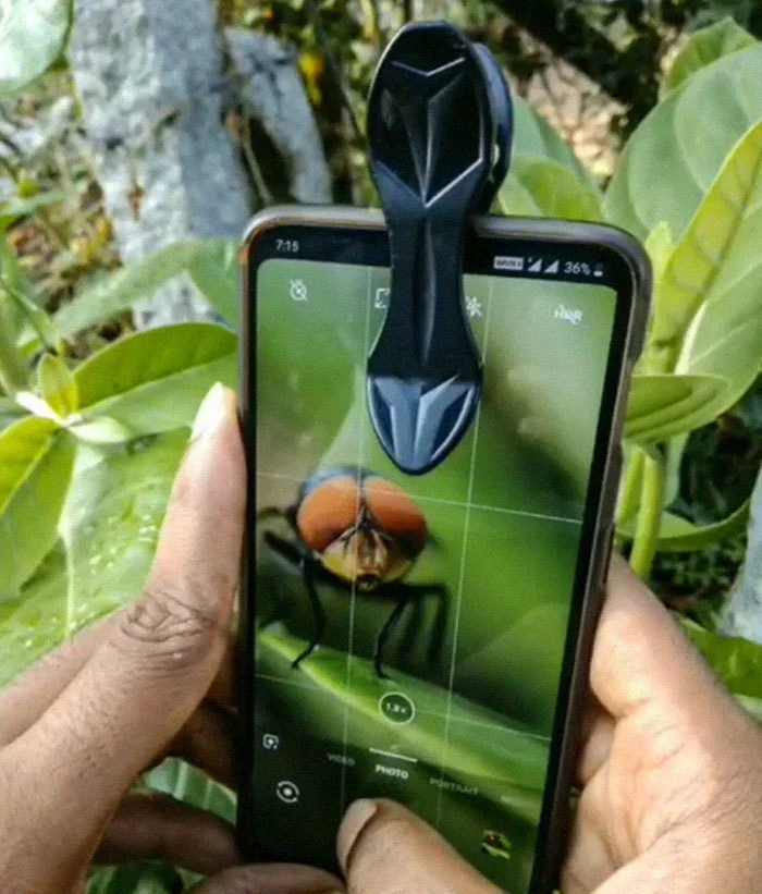 Парень из Индии делает потрясающие макроснимки насекомых, используя свой смартфон Фотография, Мобильная фотография, Макросъемка, Индия, Насекомые, Длиннопост