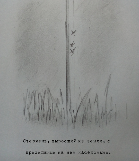 Когда опадает последний лепесток - Моё, Рассказ, История, Фантастика, Фантастические миры, Длиннопост, Сказочные животные, Другая планета