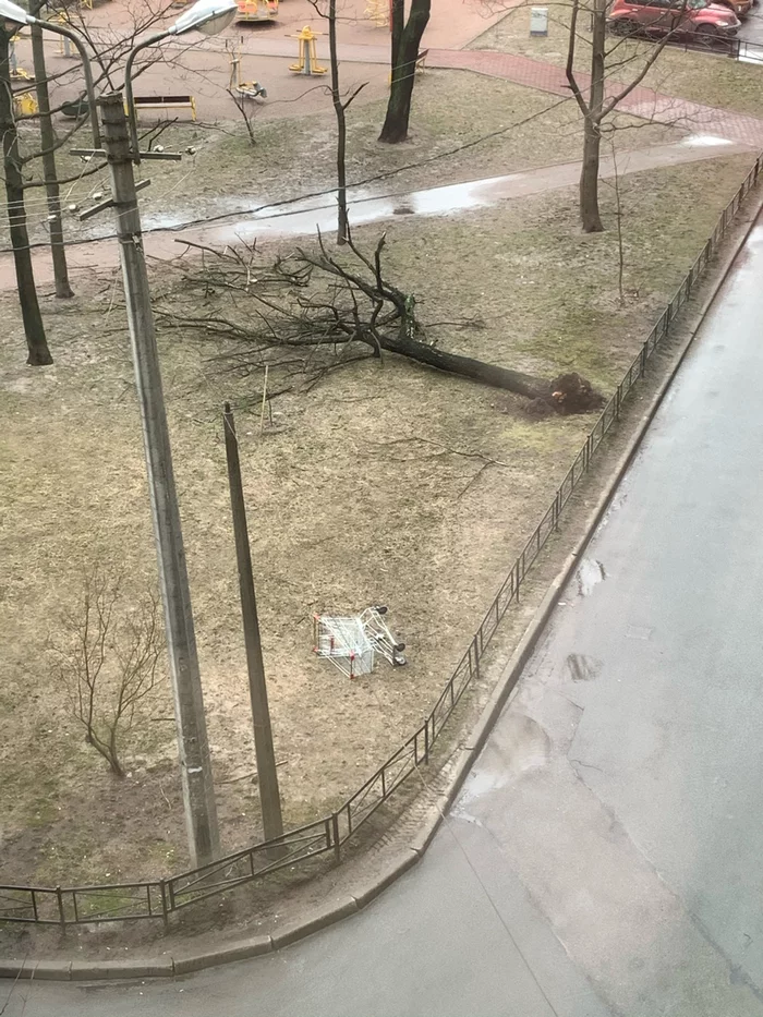 Windy today... - My, Wind, Weather, View from the window, Saint Petersburg, Inexplicable