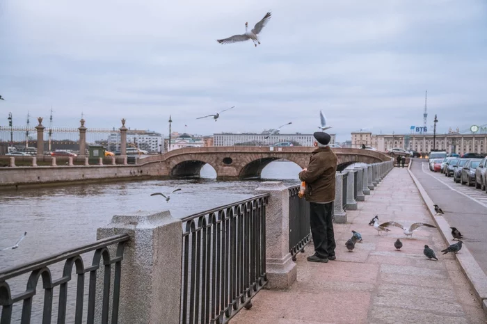 Seagulls - My, Saint Petersburg, The photo, Seagulls