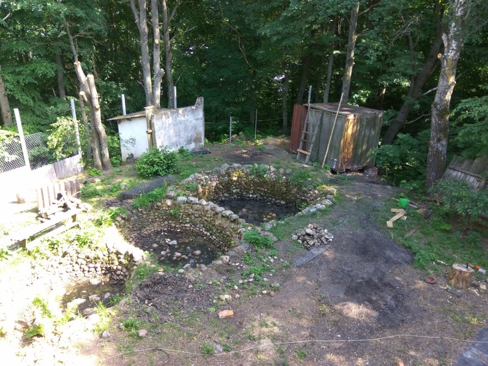 Сколько волка не корми...