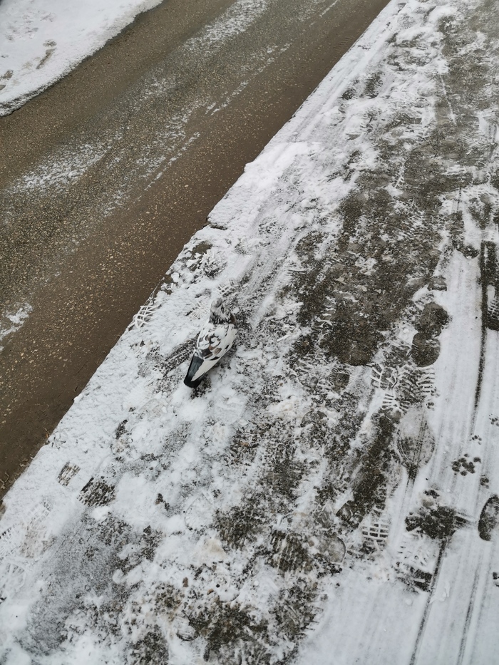 Маскировка включена