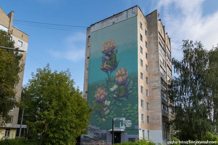Street art and graffiti of Nizhny Novgorod (part 2) - My, Mural, Graffiti, Street art, Nizhny Novgorod, Longpost