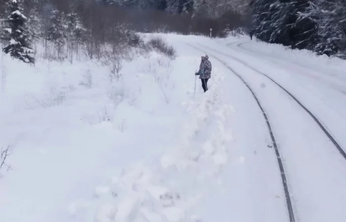 Give me the ski! That is, a rut! - My, Driver, Railway, Skiers, A train, Safety, Russian Railways
