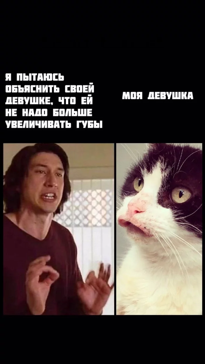 Heading - My, Lips, cat, Memes, Picture with text