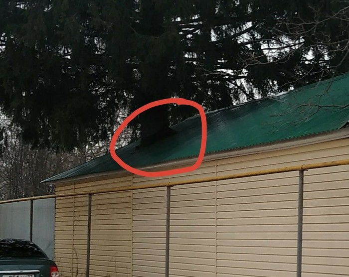 Когда очень хочешь гараж, но природу любишь больше