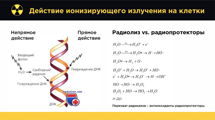 Ðàäèîàêòèâíûå çàãðÿçíåíèÿ: îò ×åðíîáûëÿ äî Êîëîìåíñêîãî. Ìû âñå óìðåì? ×àñòü 1 Íàóêà, Íàó÷ïîï, Àíòðîïîãåíåç ðó, Ó÷åíûå ïðîòèâ ìèôîâ, Ôèçèêà, Ðàäèàöèÿ, Âèäåî, Äëèííîïîñò