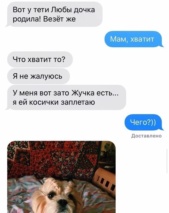 Женщина пыталась убедить сына в том, что ей ну очень хочется внуков…) - Женщины, Сын, Внуки, Длиннопост, Собака, Скриншот, Переписка