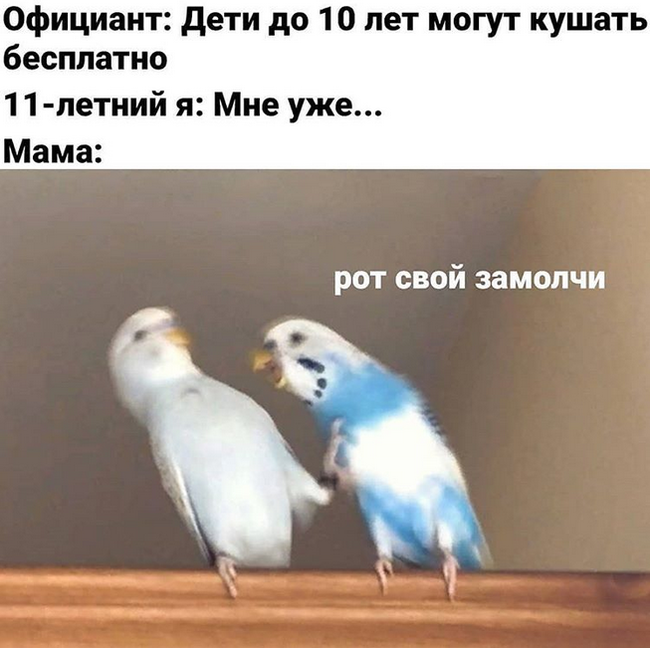When I was little I didn't understand much... - Picture with text, Memes, Childhood, Mum, Is free, Vital, Humor, A parrot