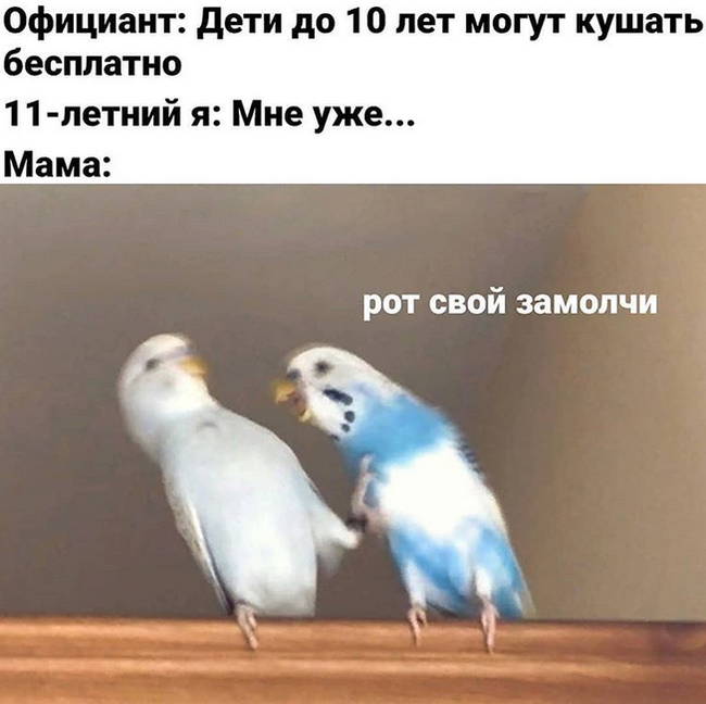 When I was little I still didn’t understand much... - Picture with text, Memes, Childhood, Mum, Is free, Vital, Humor, A parrot