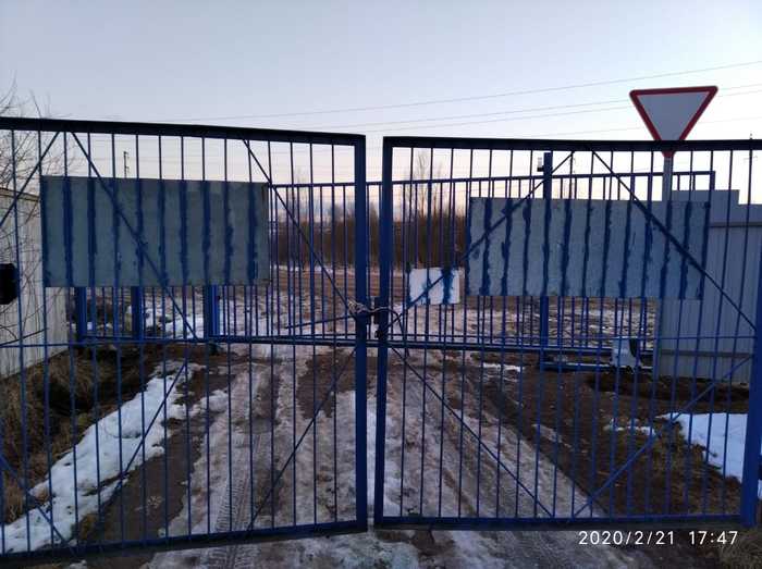 ��� ������ ������