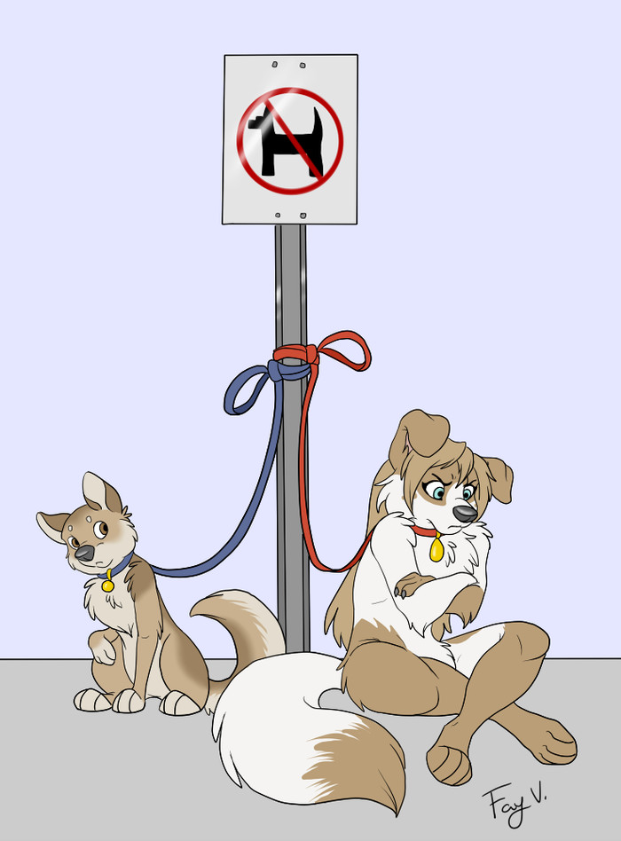 ������ ���� ����� ������ �����-������� �������� �� ����� ������ ��� � ��� ���������