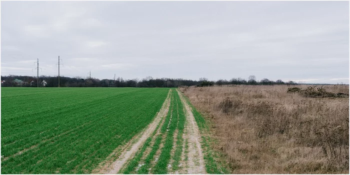 Between two seasons - My, The photo, Landscape, Winter, Republic of Belarus, Mogilev