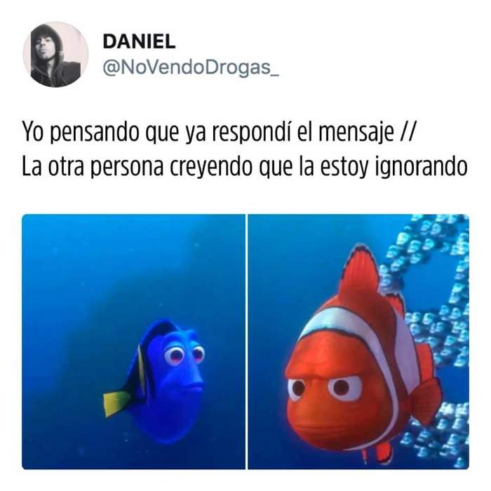 Amnesia - Images, Humor, Strange humor, Finding Nemo, Nemo, Dory, Picture with text, Amnesia