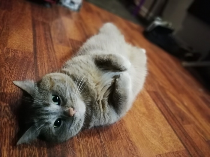 ��� ����� ������ �� ��� ����???