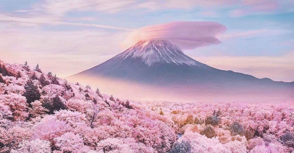 Mount fuji purple wallpaper engine. Япония Сакура и Фудзияма. Гора Фудзияма в Японии фото.