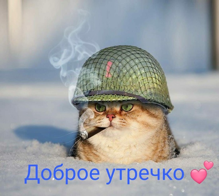  , , , , ! 23  -   , 