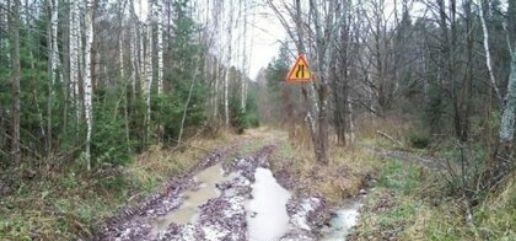 I won’t go, there’s a narrowing there... - Road, Road narrows, Forest, Dirt