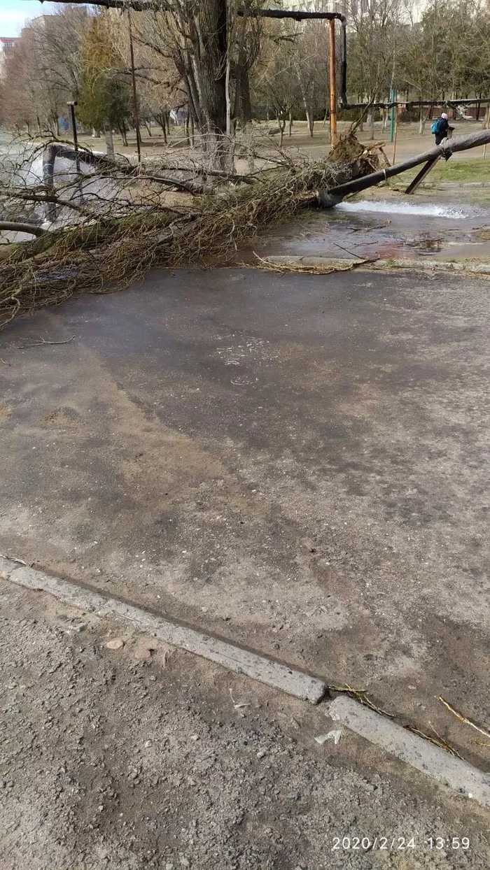 City, city, city Nikolaev - Disaster, Wind, Catastrophe, Video, Longpost