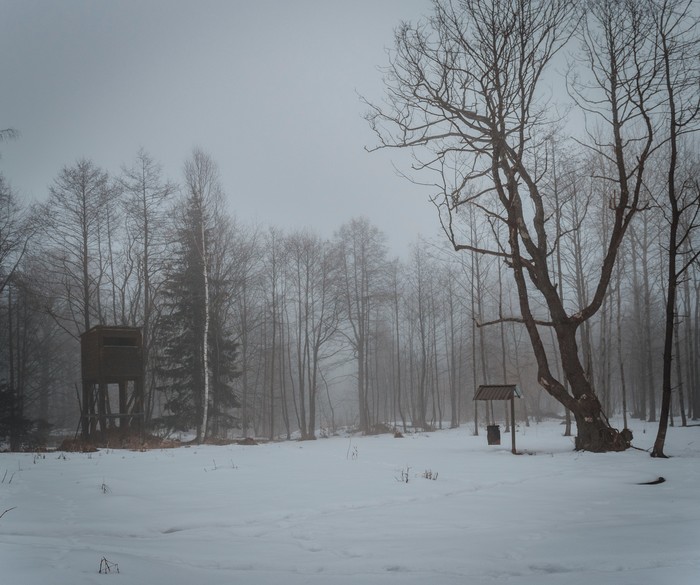 Фотостудия