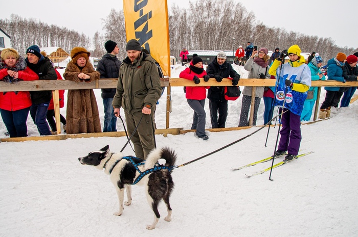 Факторы, влияющие на линьку: