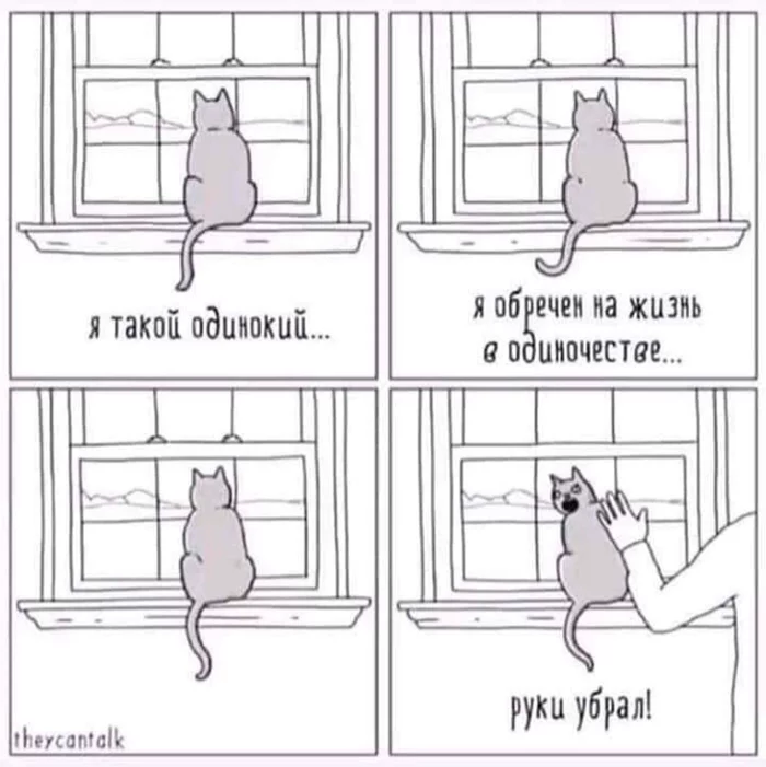 Post #7251818 - Window, Windowsill, Loneliness, cat