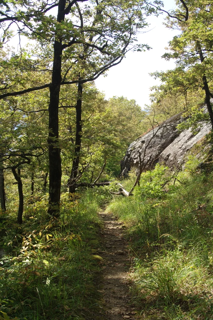 How we went to Mount Turkey - My, Mount Turkey, Hike, Weekend, Nature, Longpost