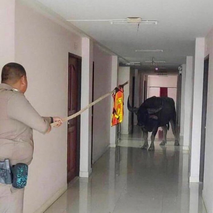       , , 