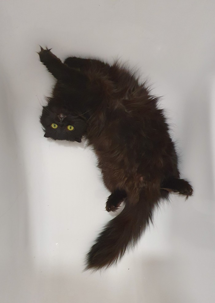 ������ ����� �����, ��� ���������