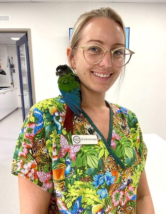 The parrot's wings were cut off, but veterinarians were able to attach new ones. Now the bird can fly again! - A parrot, Birds, Wings, Australia, Vet, Longpost