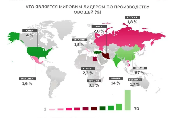 Who is the world leader in vegetable production? - My, Interesting, Informative, Statistics, Сельское хозяйство, Farm, Farmer, Products, Plant growing