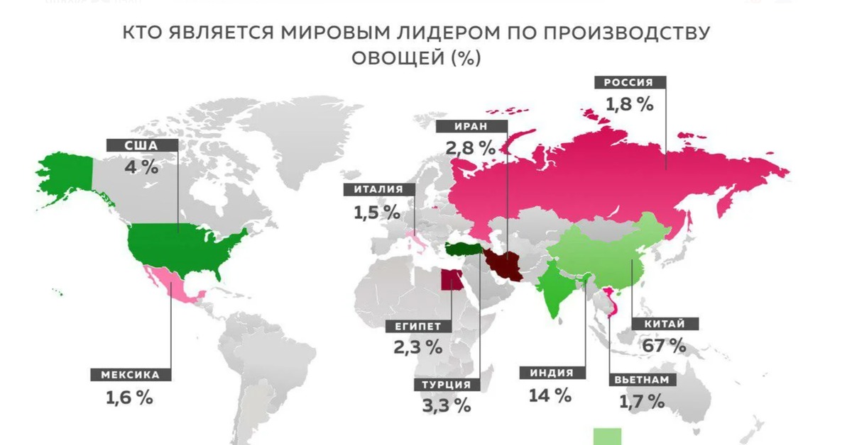 9 стран по производству. Производство овощей в России карта. Мировые Лидеры по производству овощей. Производство овощей в мире. Крупнейшие мировые производители овощей в мире.