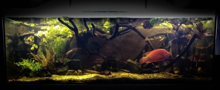 Захотелось перестановок и побольше теней )