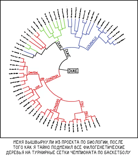 XKCD 2269. Phylogenetic tree - Biology, Basketball, Betting, XKCD