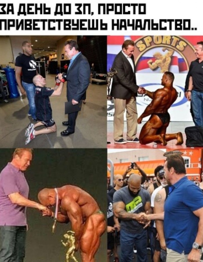 The day before the PO - Picture with text, Salary, Bosses, Greetings, Arnold Schwarzenegger