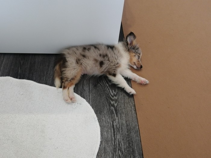 Трудности жизни