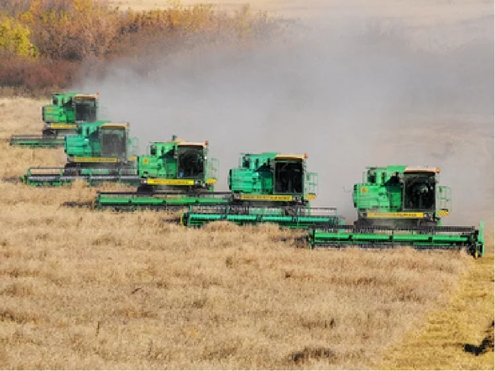 Russian agriculture. Много комбайнов. Много комбайнов в поле. Много комбайнов зерна. Несколько комбайнов.