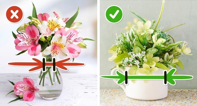Tips to help extend the life of cut flowers - Bouquet, Flowers, Care, Preservation, Useful, Holidays, Longpost