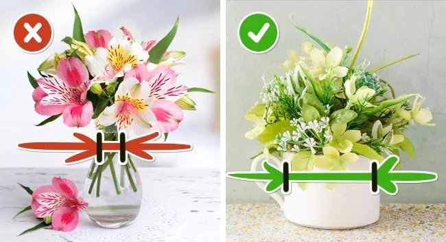 Tips to help extend the life of cut flowers - Bouquet, Flowers, Care, Preservation, Useful, Holidays, Longpost