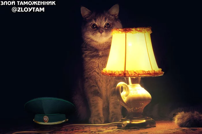 Glasses for personal use - My, Customs, Cat with lamp, customs officer, Life stories, Violation, Administrative violation, China, Дальний Восток