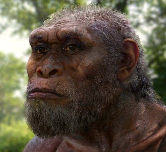 Intelligence. How did a person grow a brain, and not claws, teeth or hooves? (part three. Hello, homo!) - My, The science, Evolution, Biology, People, Monkey, Facts, Brain, Evolution theory, GIF, Longpost